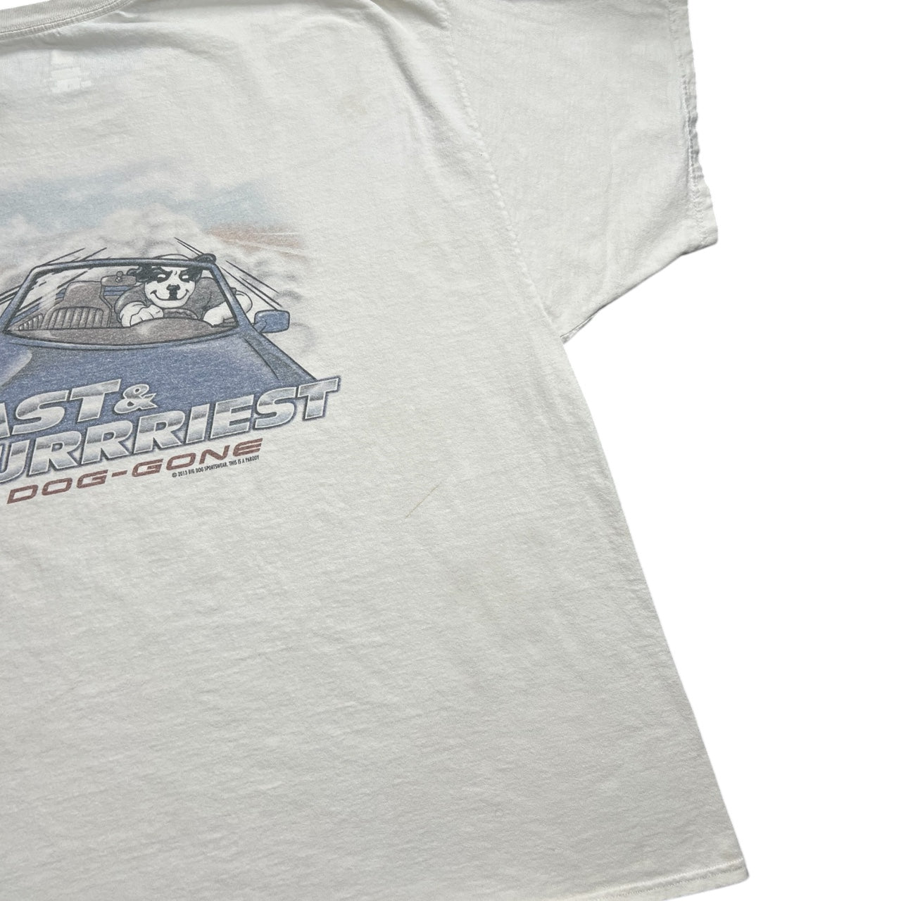 2015 Big Dogs The Fast & Furrriest Movie Parody Graphic T-Shirt The Fast & Furious Men’s 3XL