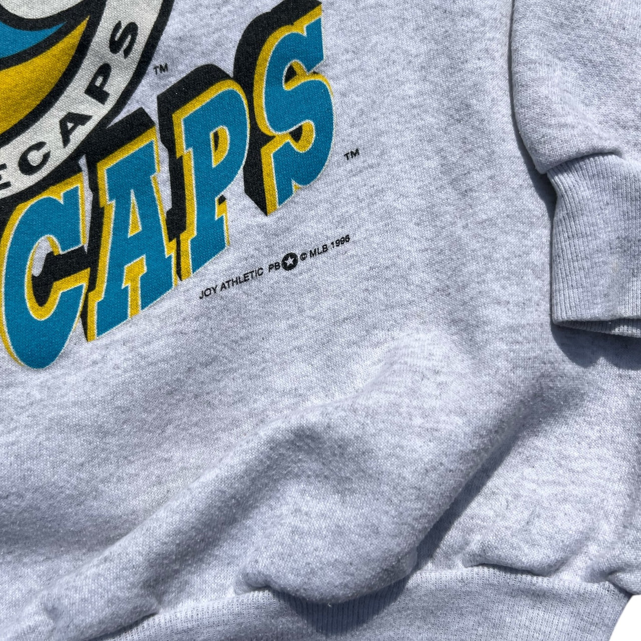 1996 West Michigan Whitecaps Lee Sweatshirt Minor League Baseball Men’s XL Made in USA